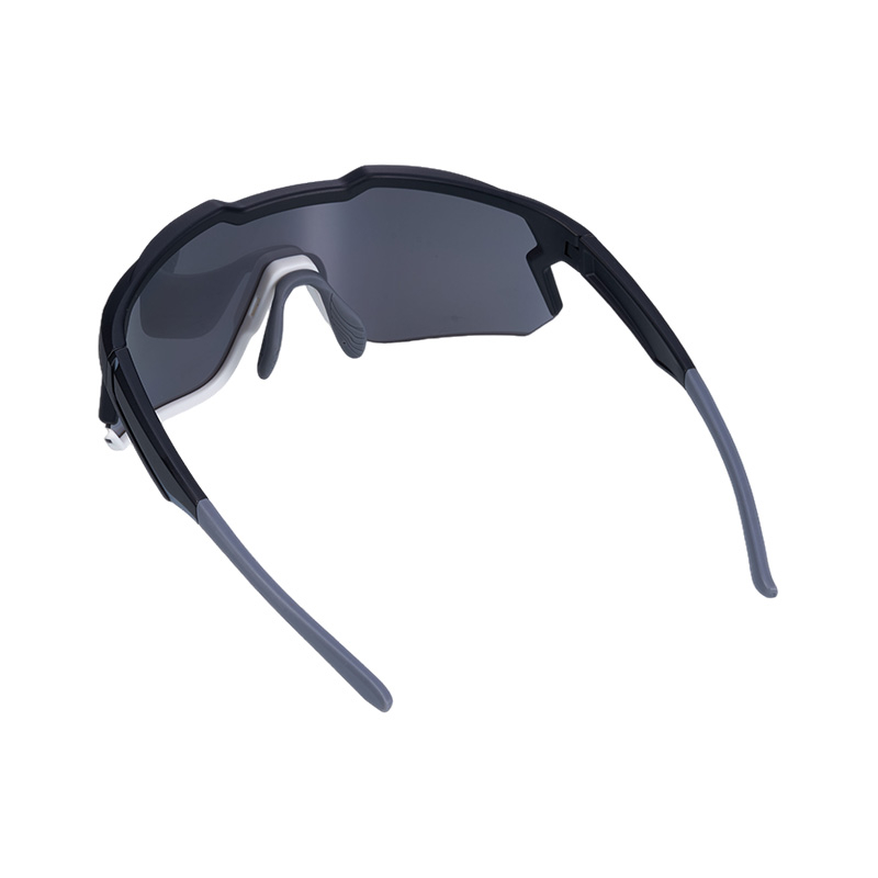 SP030-Black-White Frame