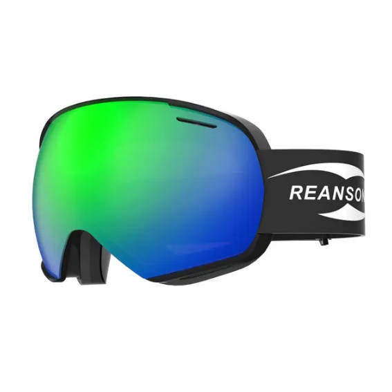 Ski Goggles.jpg