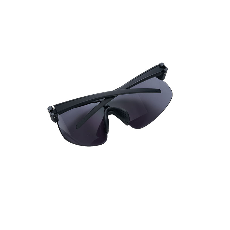 Sunglasses Black